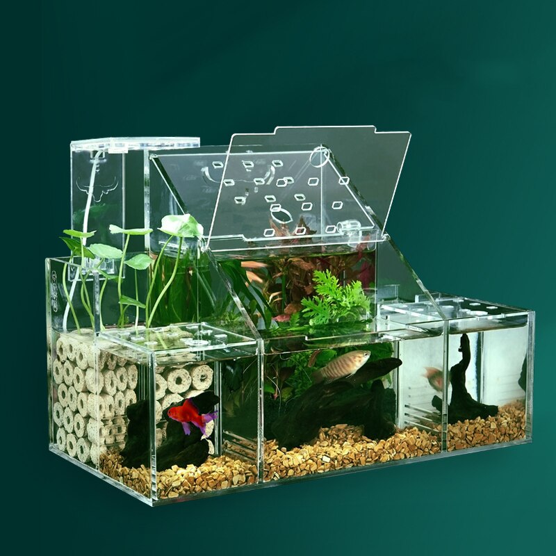 Aquarium Fish Tank
led