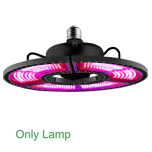 GRAXIDEA's LED Grow Light