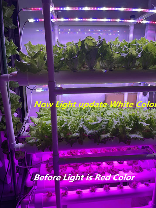 |200007763:201441035