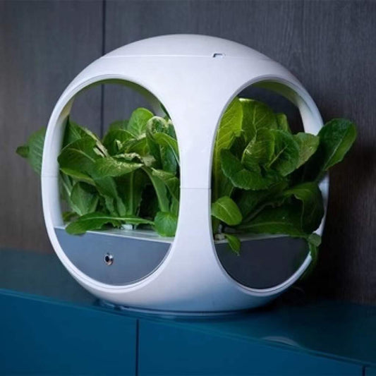 Indoor Herb Planter