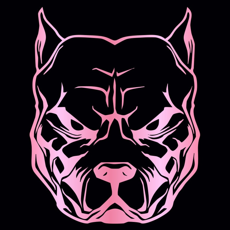 reflective car / motorcycle sticker