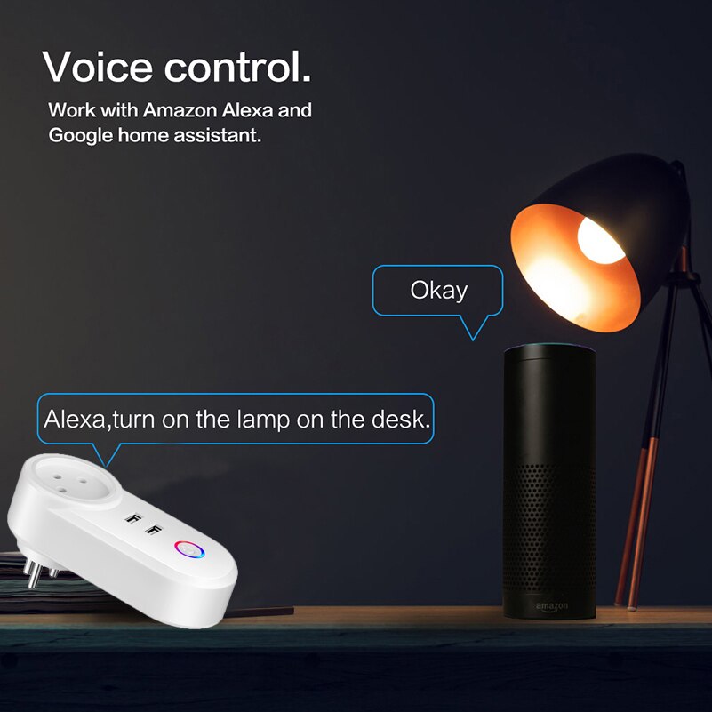 Smart Home 10A EU/US plug power socket with USB 