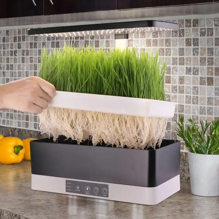 microgreen growing system