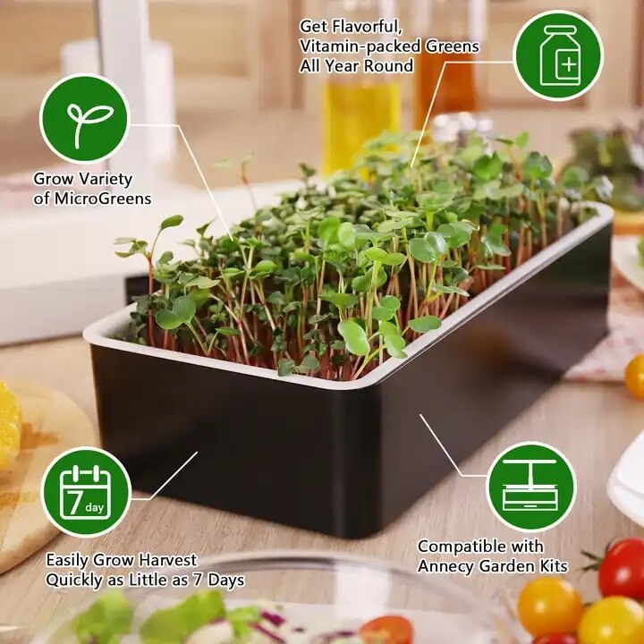 microgreen growing system