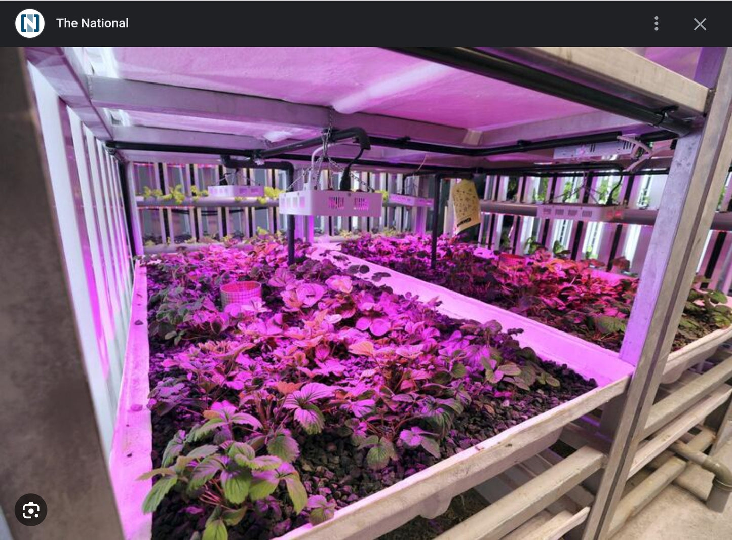 Merlin Urban Farming pod - aquaponic tunnel for rooftop/community lake side