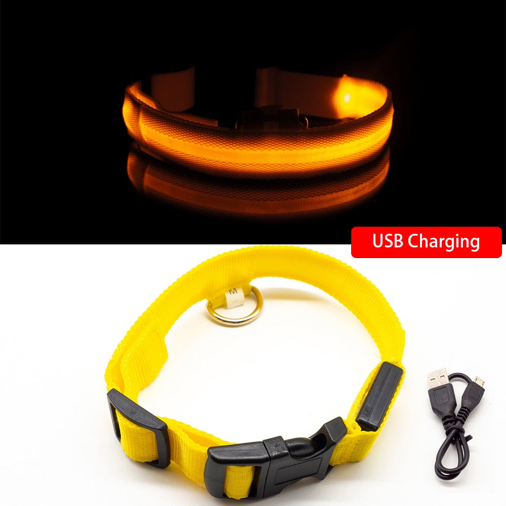 LED Dog / pet Collar
