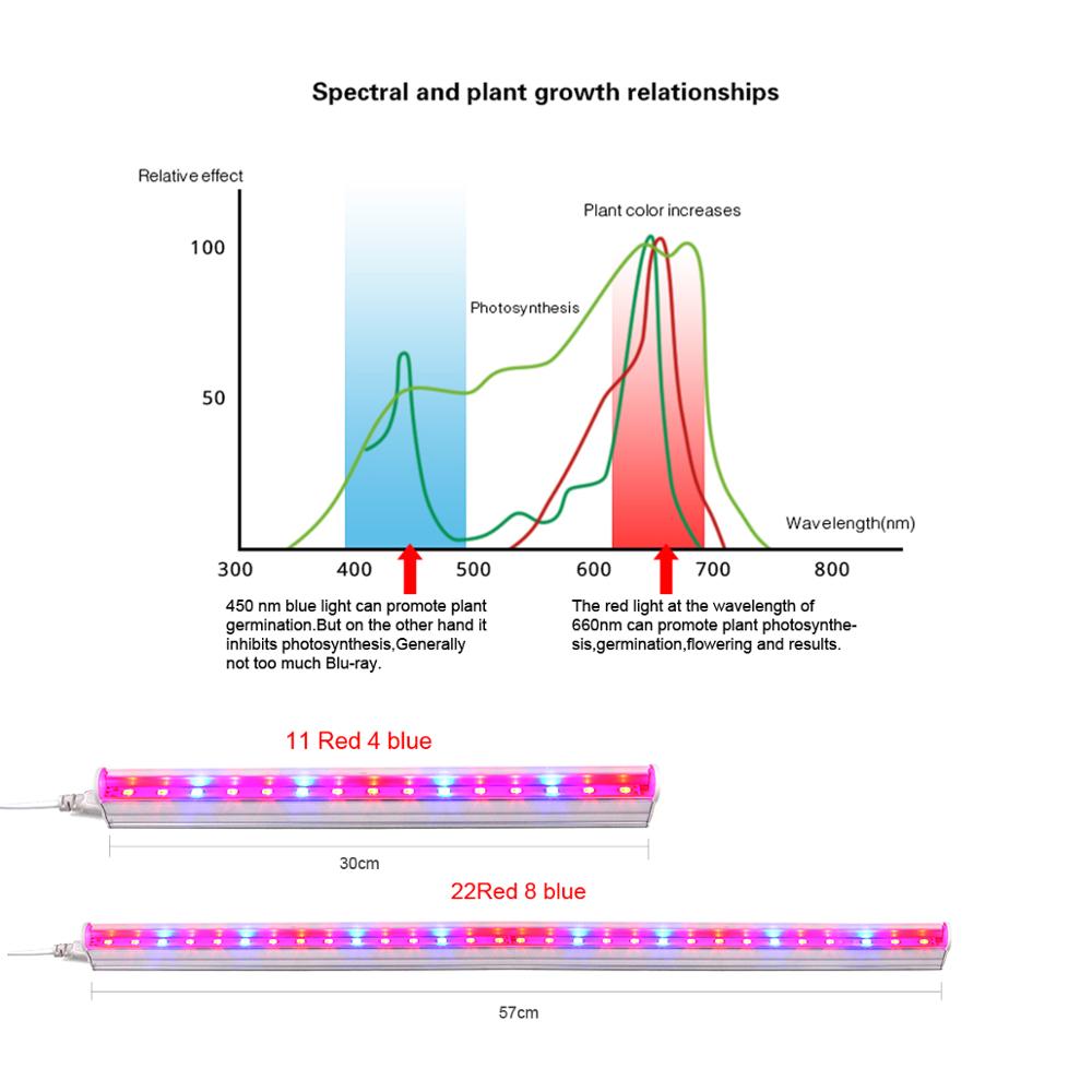 Full Spectrum Phytolamps For Plants 
