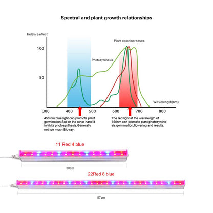 Full Spectrum Phytolamps For Plants 