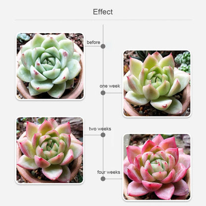 Full Spectrum Phytolamps For Plants 