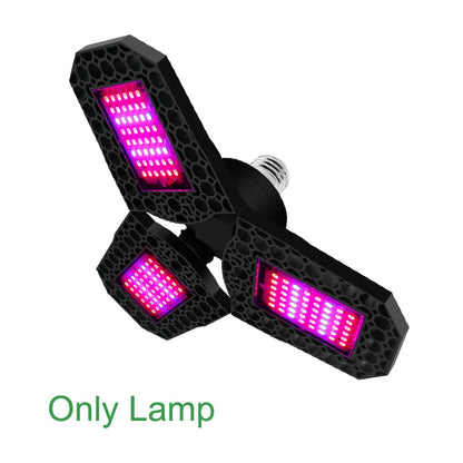 GRAXIDEA's LED Grow Light