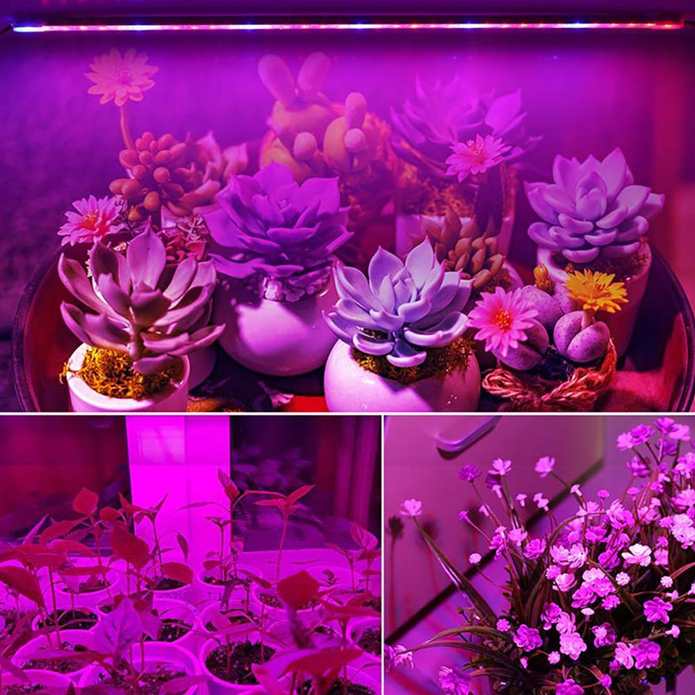 Full Spectrum Phytolamps For Plants 