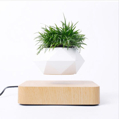 Magnetic suspension flower pot