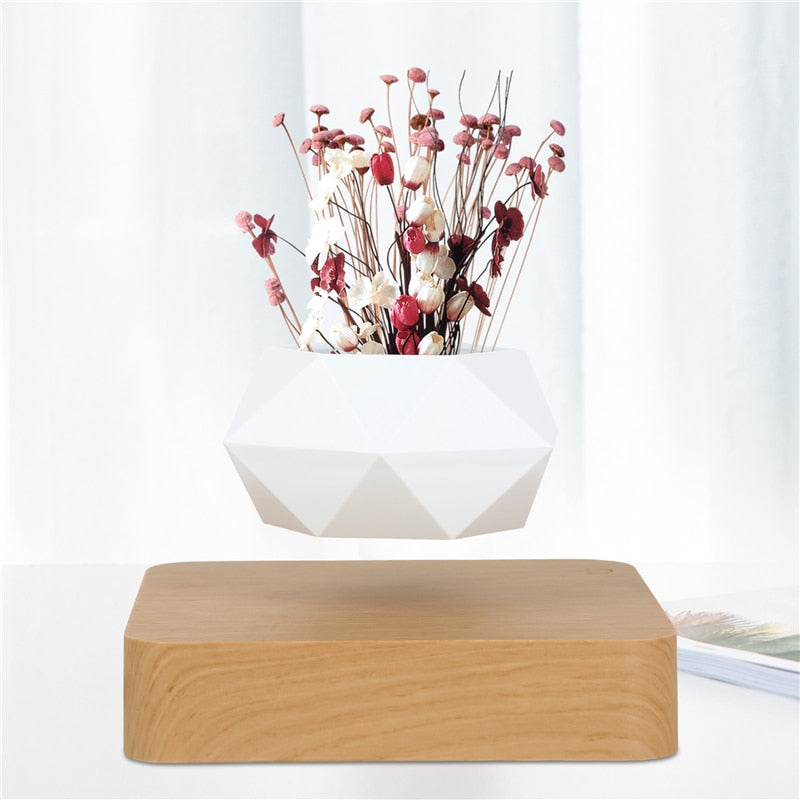 Magnetic suspension flower pot