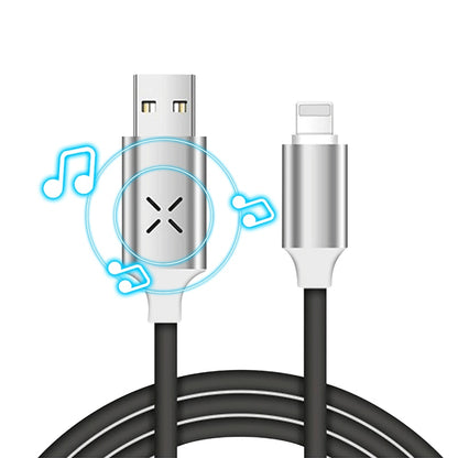 Merlin Luminous Voice Control USB Cable Type C 