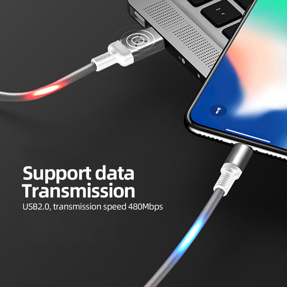 Merlin Luminous Voice Control USB Cable Type C 