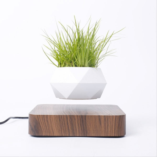 Magnetic suspension flower pot