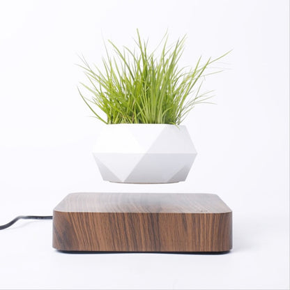 Magnetic suspension flower pot