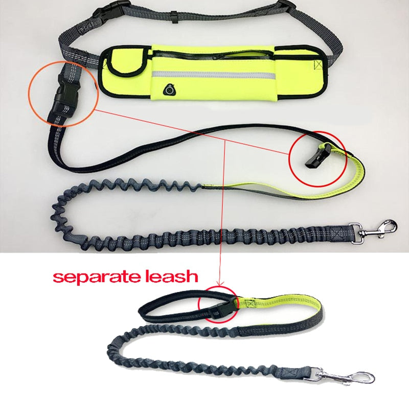 Hands Free Pet Leash
