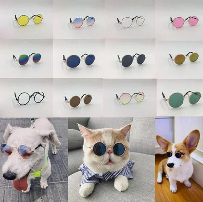 Dog Cat Eye Wear Sunglasses
