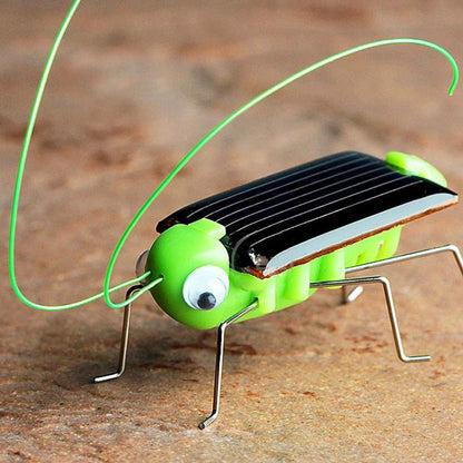 Solar Grasshopper 2022